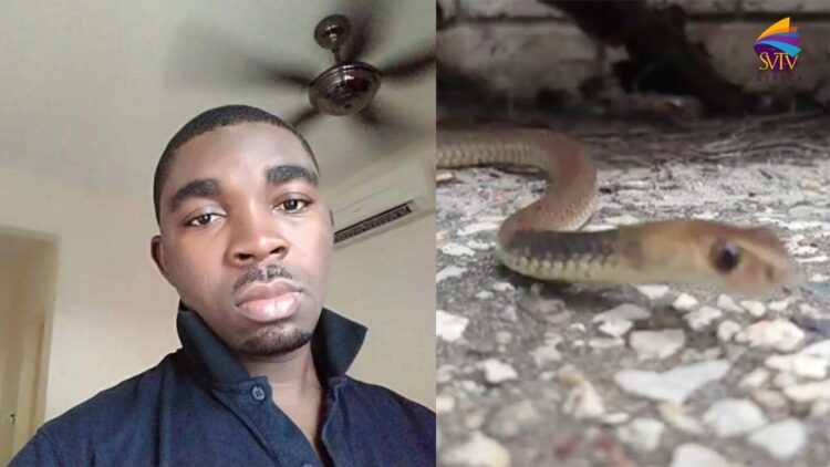 Ghanaian dies from snake bite working for a Chinese who keeps pet snakes in Malaysia