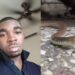Ghanaian dies from snake bite working for a Chinese who keeps pet snakes in Malaysia