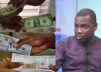Buying a dollar is not a way of investing, you are killing the country – Financial expert