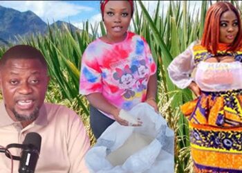The Chinese are farming in Ghana but Ghanaians are complaining about opportunities – Diamond Dangote