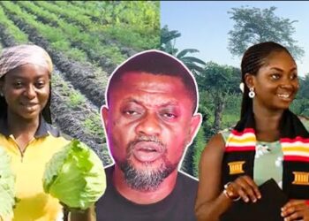 Forget your certificate if you want to make money – Lady reveals