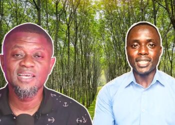 A Rubber Farmer Can Earn GHC60,000 A Month—Rubber Farming Is More Profitable Than Cocoa And Gold