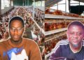 From Banking to Poultry Farming: I Turned Down a GHS170,000 UK Care Job and Built a 7,000-Bird Farm, Selling 700 Crates Weekly- Par Farms