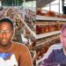 From Banking to Poultry Farming: I Turned Down a GHS170,000 UK Care Job and Built a 7,000-Bird Farm, Selling 700 Crates Weekly- Par Farms