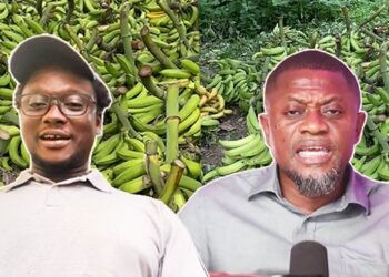 I Make Millions Now, I Had a Well Paying Office Job & A Nice Car,But I Quit & Ventured Into Farming -Kwadwo