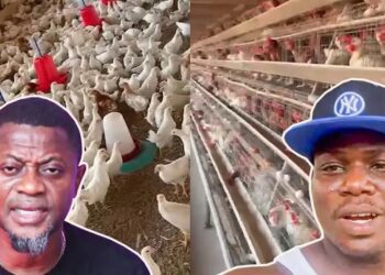 After Galamsey, No Business in Ghana Pays Better Than Farming — Maxwell Claims