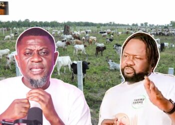 I Left Ghana for Canada, but I’m Returning Home—Canada Isn’t What I Expected – Erico Cries Out