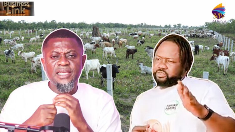 I Left Ghana for Canada, but I’m Returning Home—Canada Isn’t What I Expected – Erico Cries Out