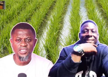 I’m Leaving America for Good—or I’ll Face 8 Years in Jail: She Took My Child, Kicked Me Out, Falsely Accused Me -Kwadwo