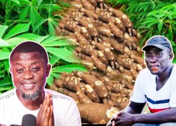 I Built A House—Invested GHC30,000 & I Made Over GHC100,000 From Cassava—Charles Reveals