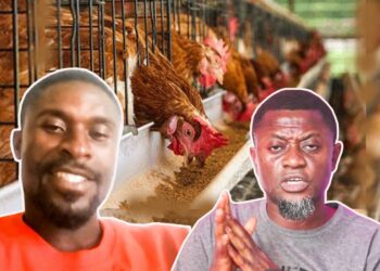 I Started With 1,500 Birds — Now Have 5,000 & Produce 135 Crates of Eggs Daily- Former Teacher Turned Poultry Farmer