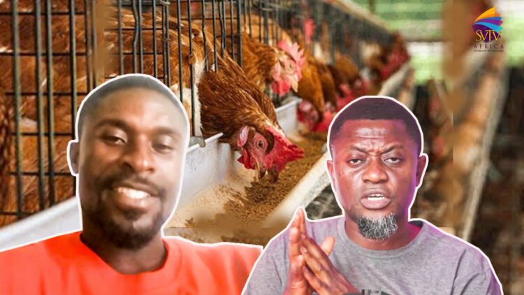 I Started With 1,500 Birds — Now Have 5,000 & Produce 135 Crates of Eggs Daily- Former Teacher Turned Poultry Farmer