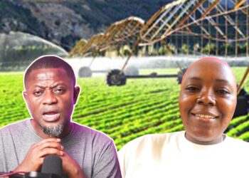 I Never Sent Anyone to Kíłł My Ex – My Half-Brother Betrayed Me – I Simply Asked Them to Leave My House