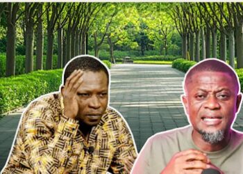 Relying on one income is risky—if salary is all you earn – Obeng Darko